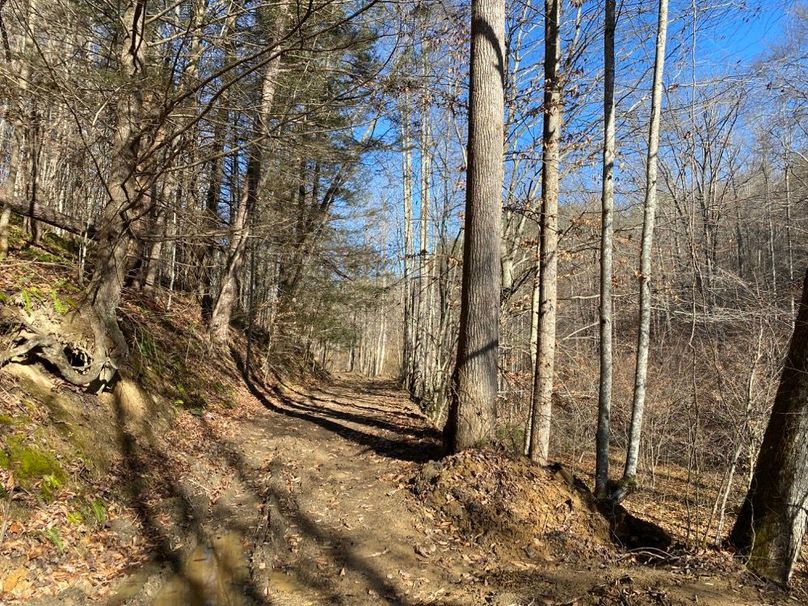 018 the access dirt road leading in