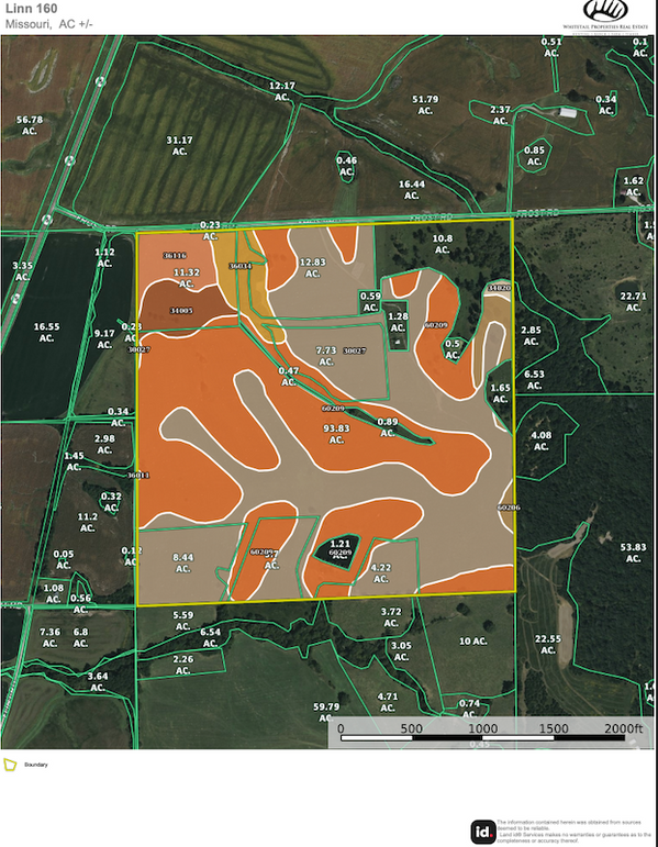 Screenshot 2026-03-19 at 2.14.19 PM