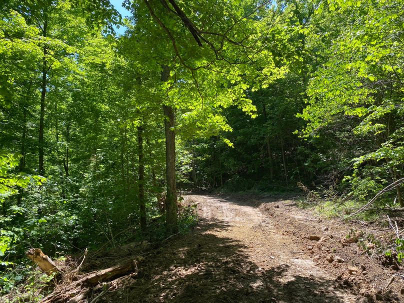 015 the main access road leading around the upper bench copy