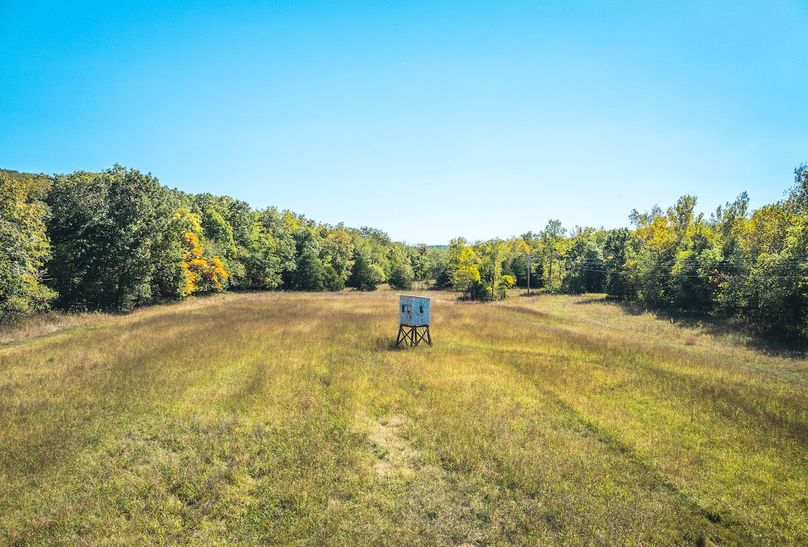 DJI_20251009063054_0642_D