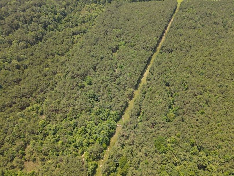 Copy of DJI_0889