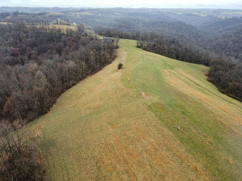 dji_fly_20240306_123806_886_1709746694971_photo