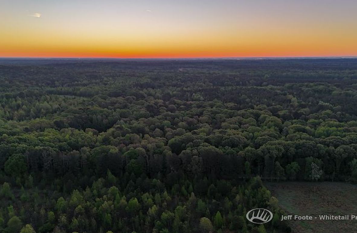 Hinds Co - 51 - Hughes-3