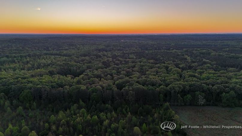 Hinds Co - 51 - Hughes-3