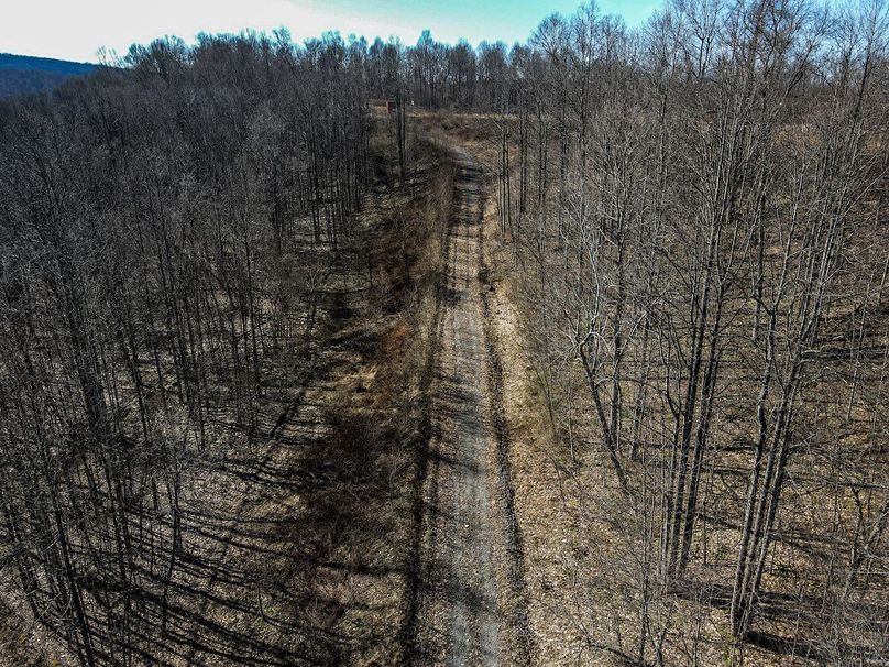 Photo 2024-03-09 04.26.25 PM