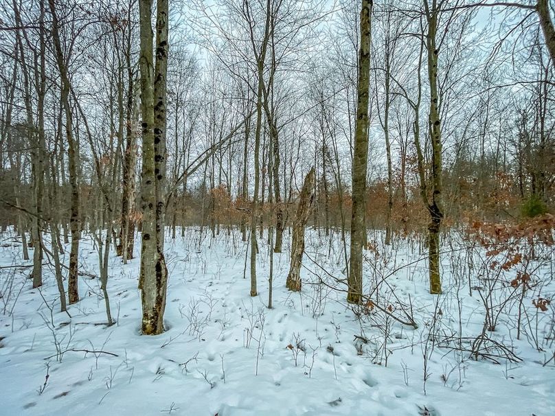 Adams 263.17, Hale -34