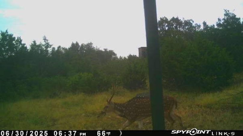 PICT3023_202506302337Z4XTP