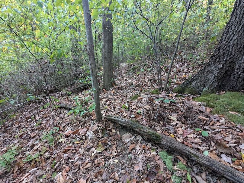 PXL_20240924_203634893.MP