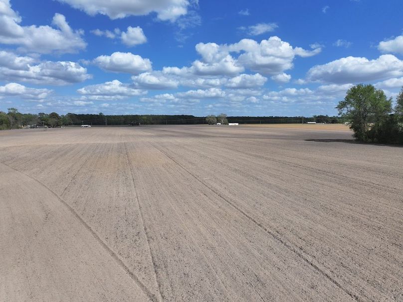 dji_fly_20260315_120908_0531_1775758690542_photo