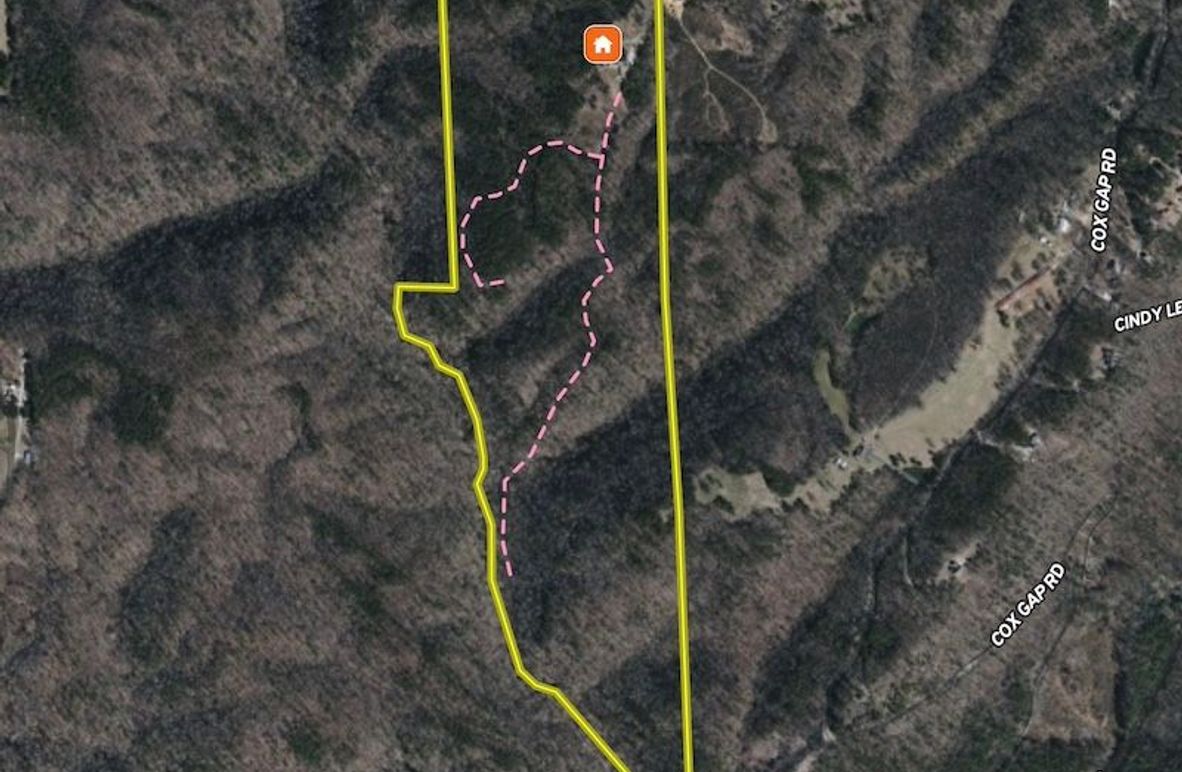 Screenshot 2025-12-15 at 3.49.22 PM