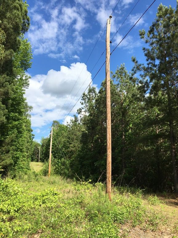 ACAF8B07-97F0-40A8-ADE9-4DBF1A8E8170_1_105_c