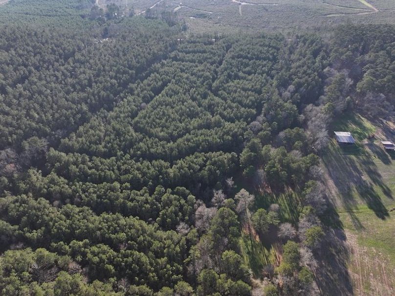 dji_fly_20260216_152102_0083_1771284233991_photo