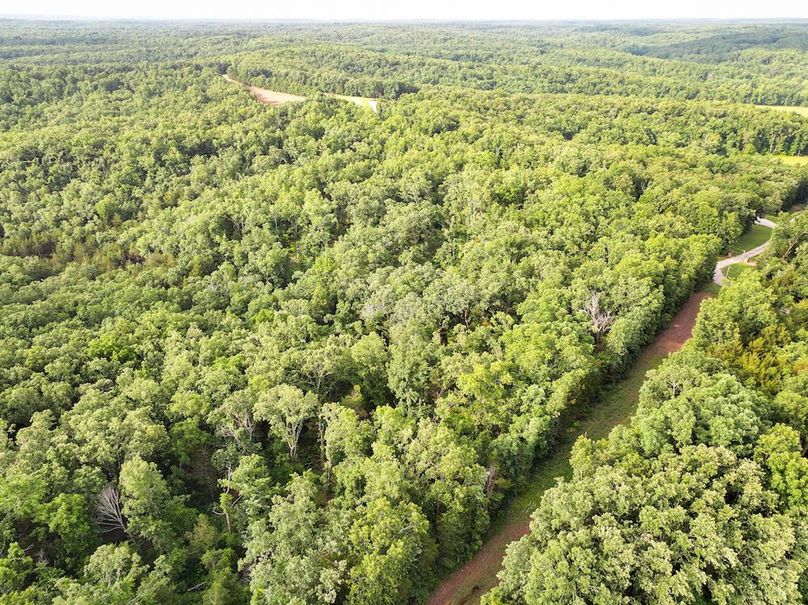 DJI_20260602075621_0246_D