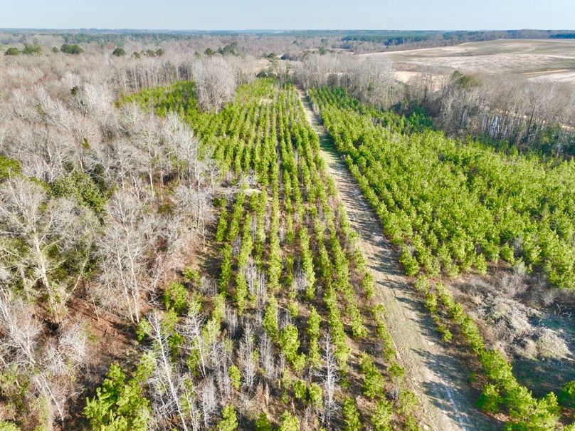 dji_fly_20250225_160852_453_1740517921803_photo