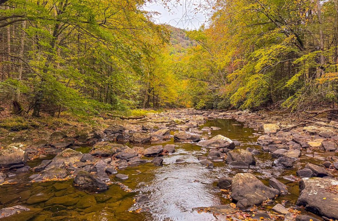 Webster, WV 13.8 AC Heldreth-01