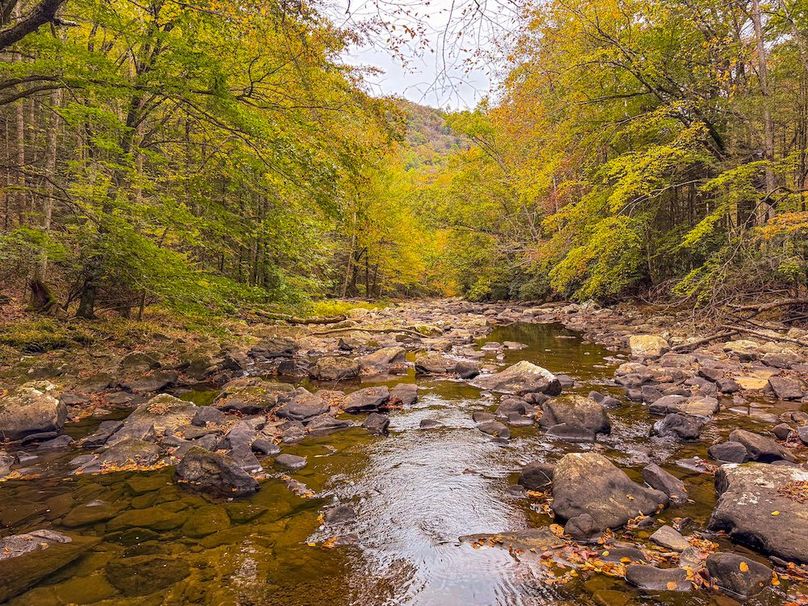 Webster, WV 13.8 AC Heldreth-01