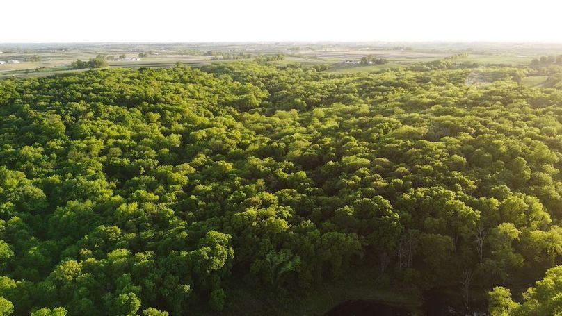 PAGE CO IA 130+_-_60