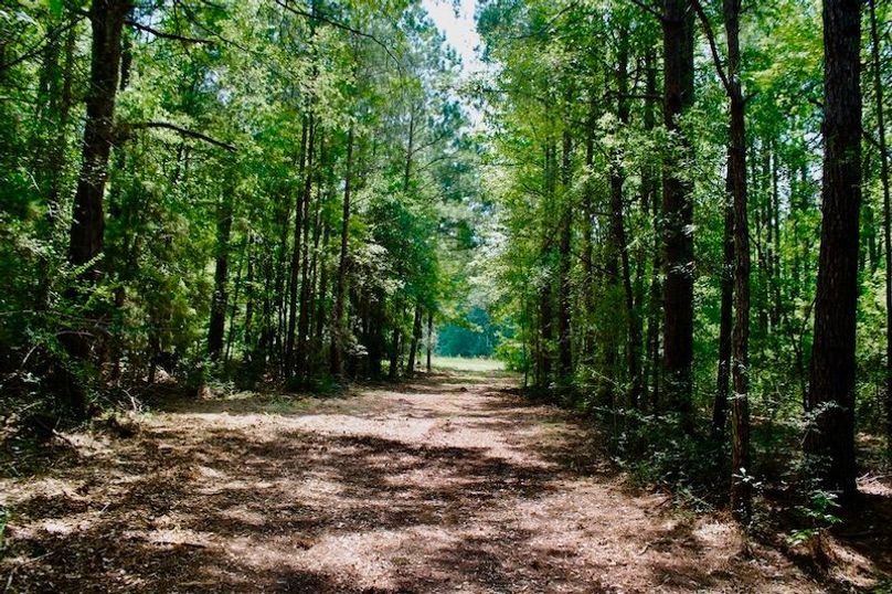 9C30224D-6575-403A-AF59-26EA5326C518_1_105_c