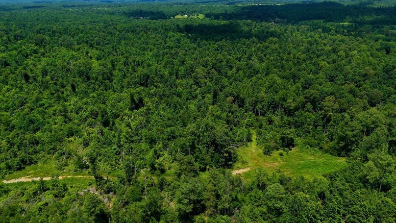 Sequence 10.00_13_57_02.Still038