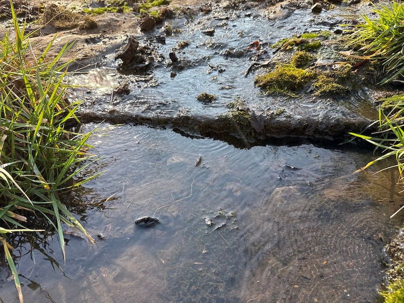 DJI_20260113_143254_572