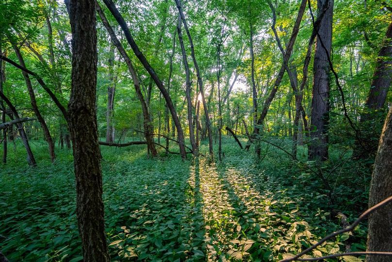 Copy of DSC06235 Large