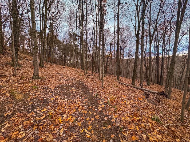 Ritchie, WV 14.081 AC Currey-21