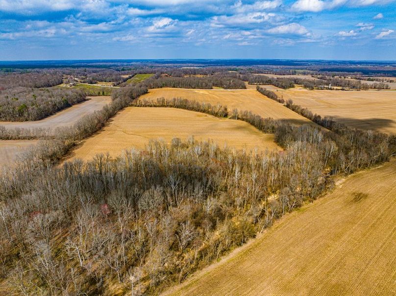 Gibson County Tract 2-06