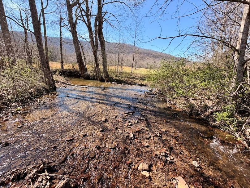 Morgan Co TN 310.833 Schneller_43