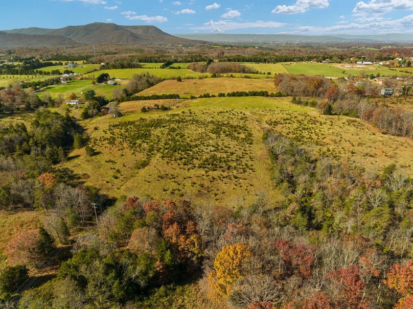 12-web-or-mls-DJI_0385