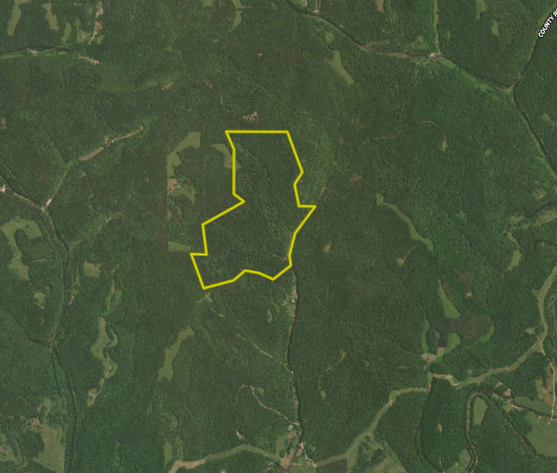 Screen Shot 2024-08-01 at 9.11.22 AM