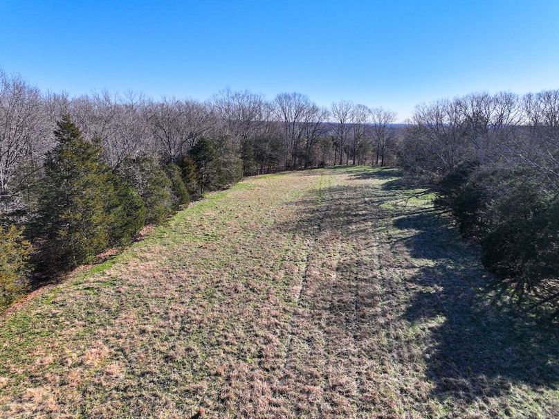 DJI_20260317092957_0970_D