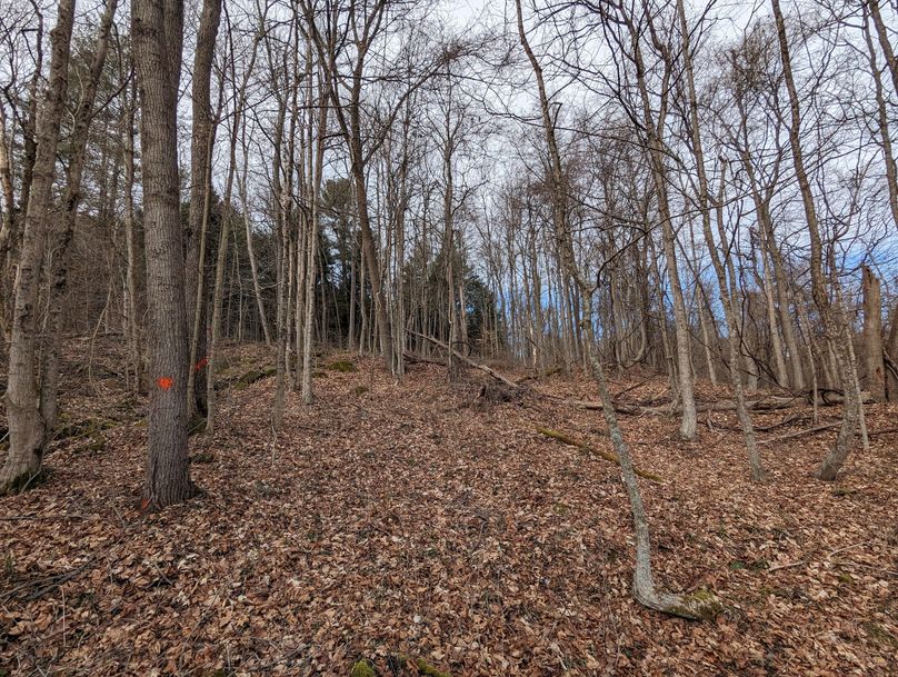 PXL_20230213_165104949