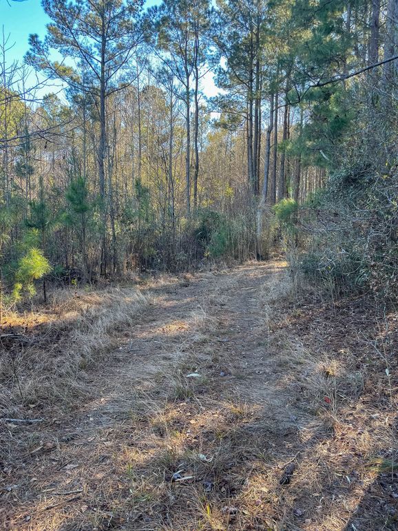 Pender NC 382 - Edits-56