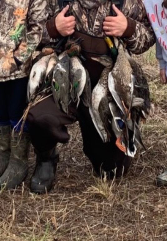 342B7189-BDEC-4BDC-876B-728860B15B58_1_105_c