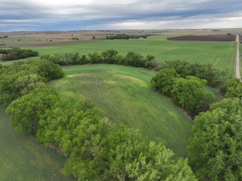 Copy of dji_fly_20240501_080022_973_1714569009036_photo