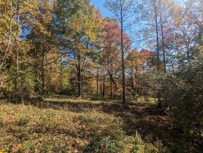 PXL_20231004_170214887