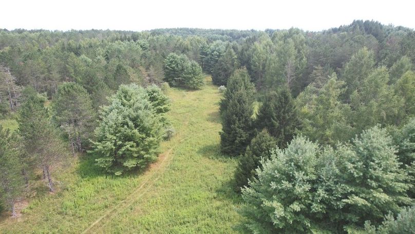 dji_fly_20250804_150532_464_1754355862664_photo