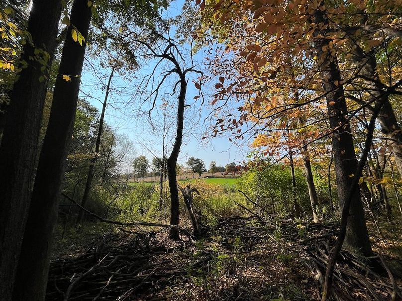 Yates_29_Stape Photo 11