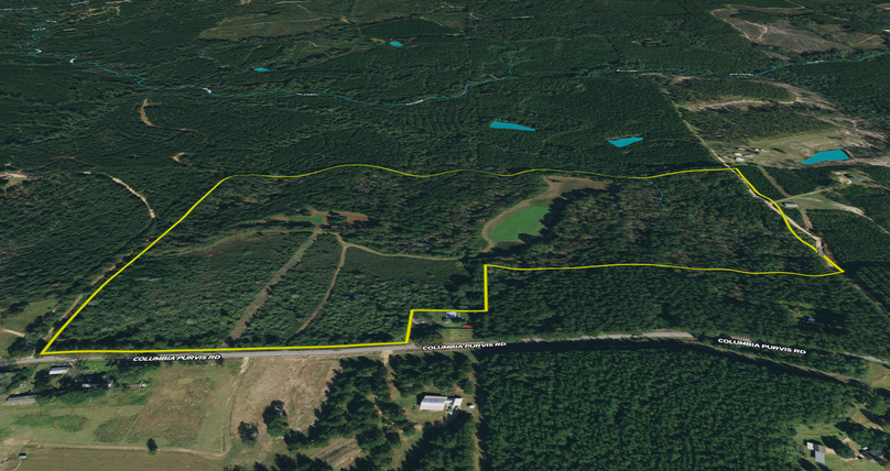 Screen Shot 2023-05-09 at 2.28.52 PM