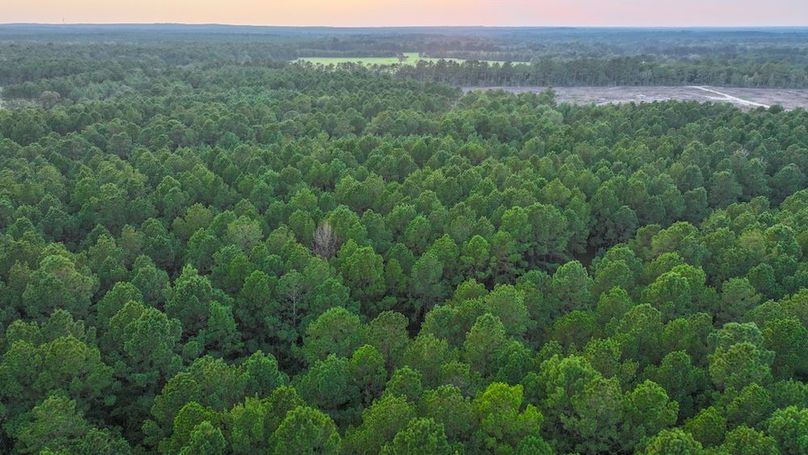 DJI_20250918184021_0250_D