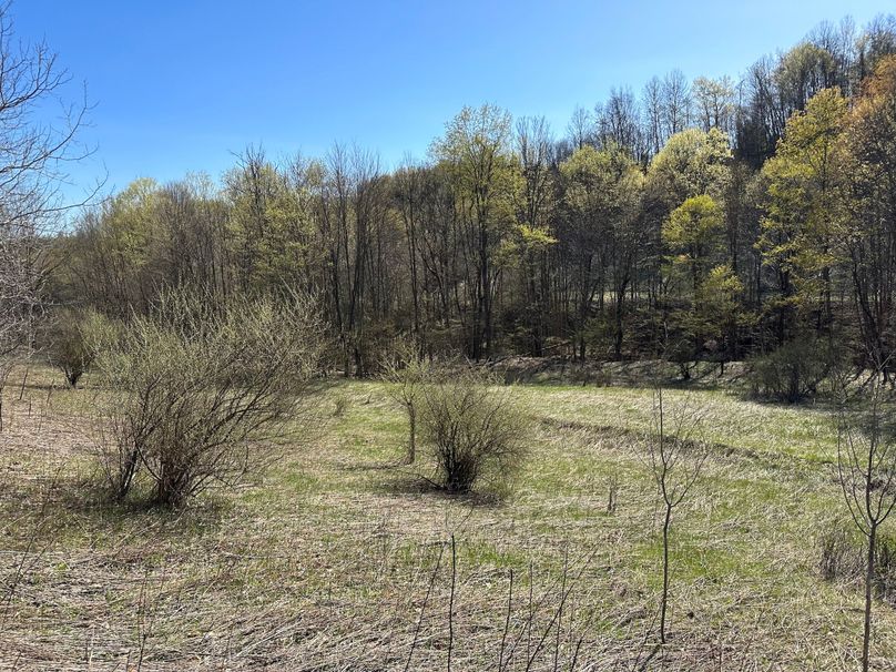 8B60E4BE-5F3E-46E4-8CC6-2A843E65F9F5