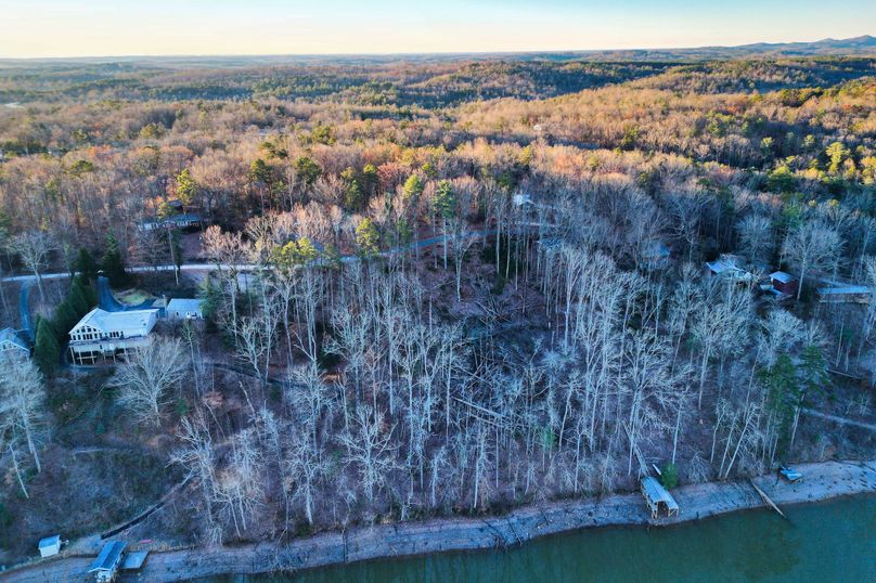 19 View of Property from Lake at Drone Height