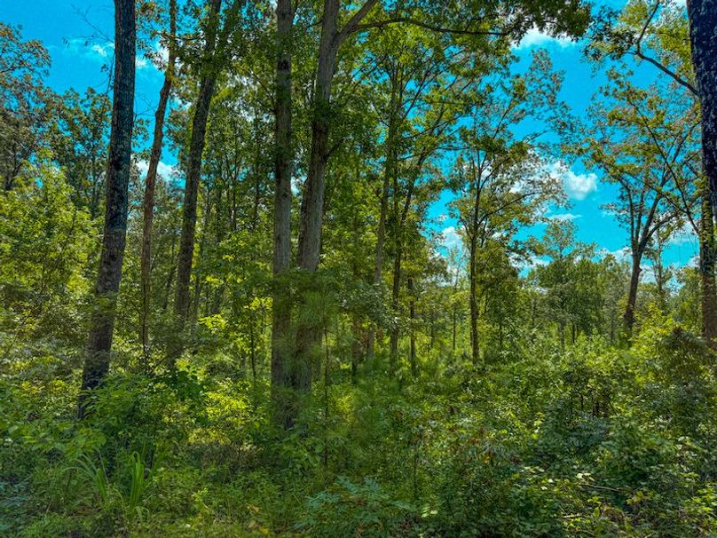 Itawamba 400 Moore-50