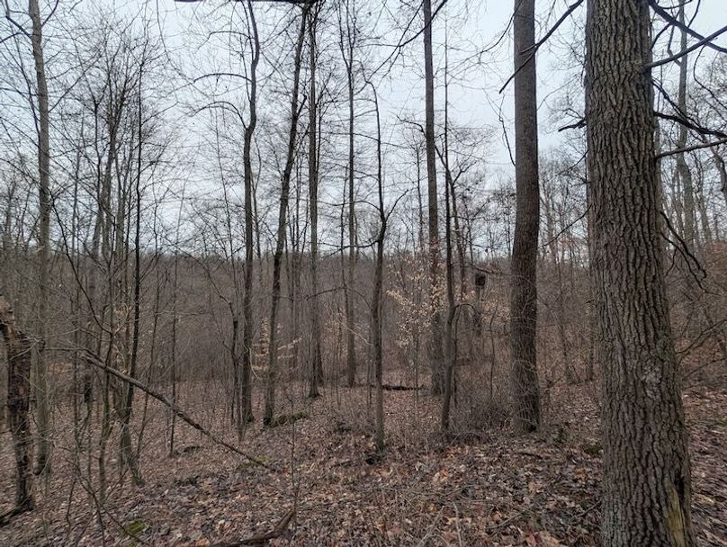 PXL_20260107_211423108