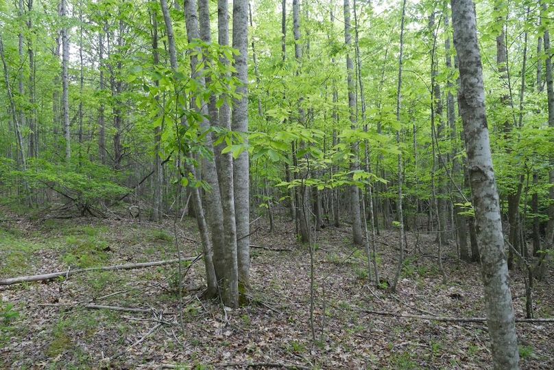P3270731