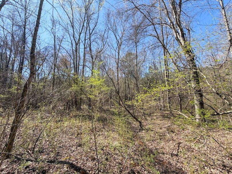 010AE 257 Acres - 1-8