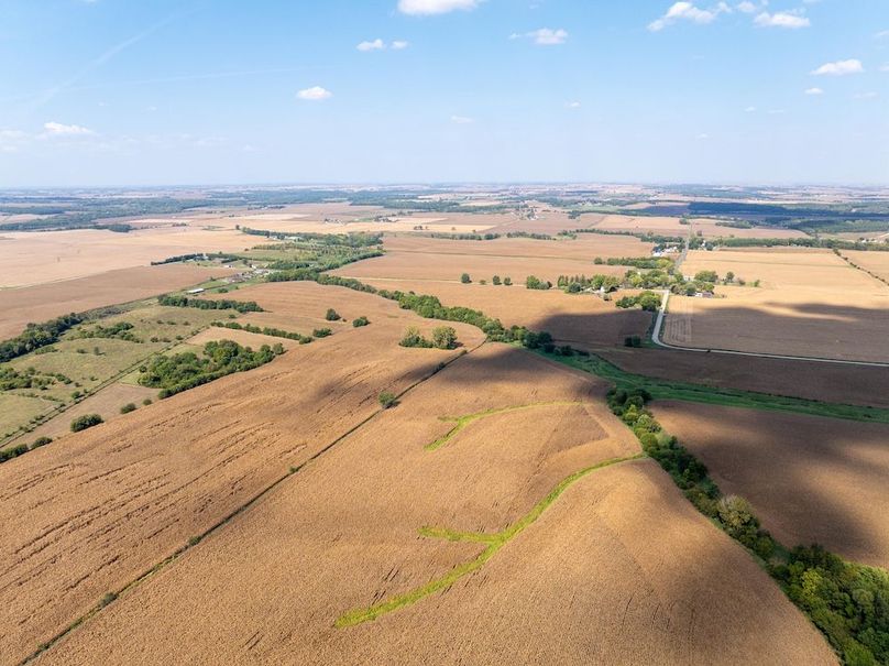 Copy of Whiteside 181_21