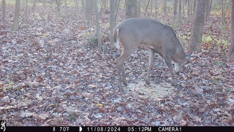 trail cam21