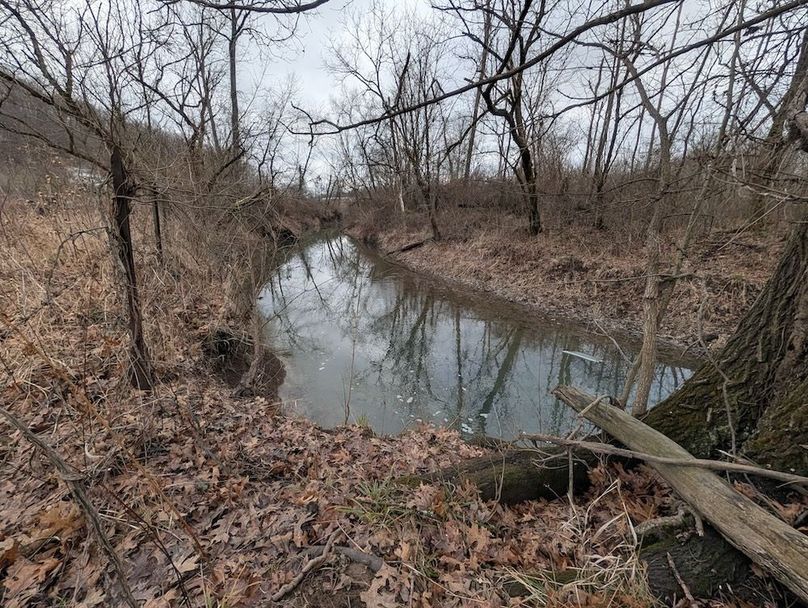 PXL_20260107_184504730