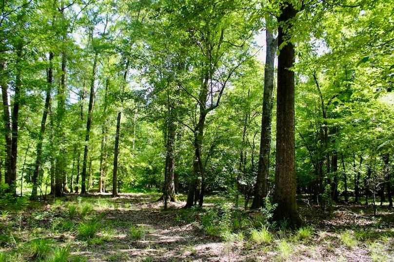 9039F86A-6410-4B31-9AE6-C6EA8E897F89_1_201_a